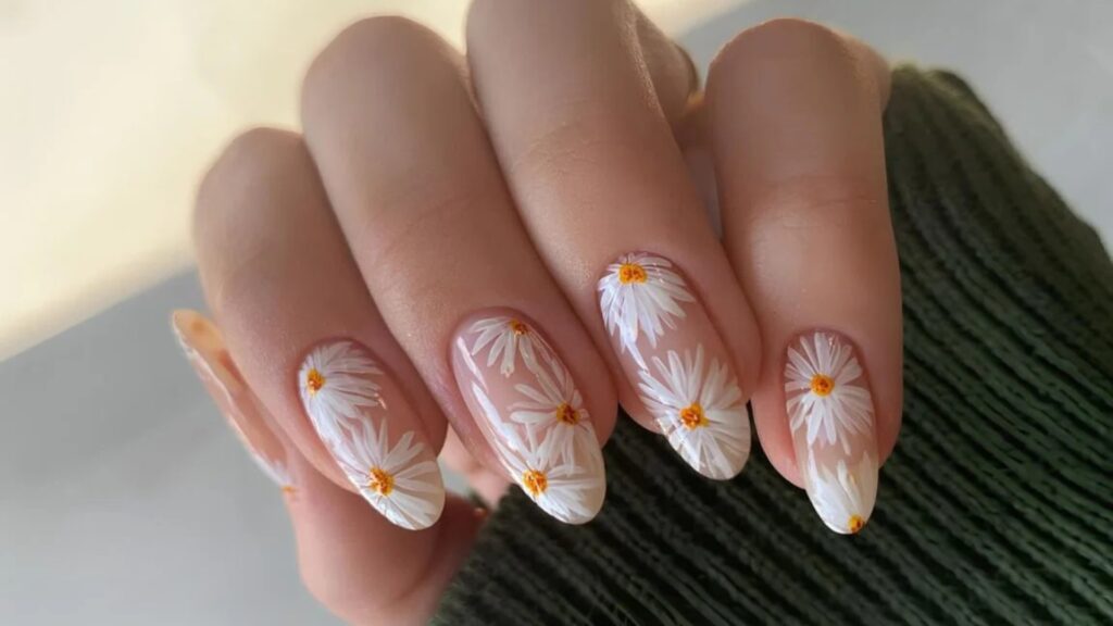 Bold Daisies