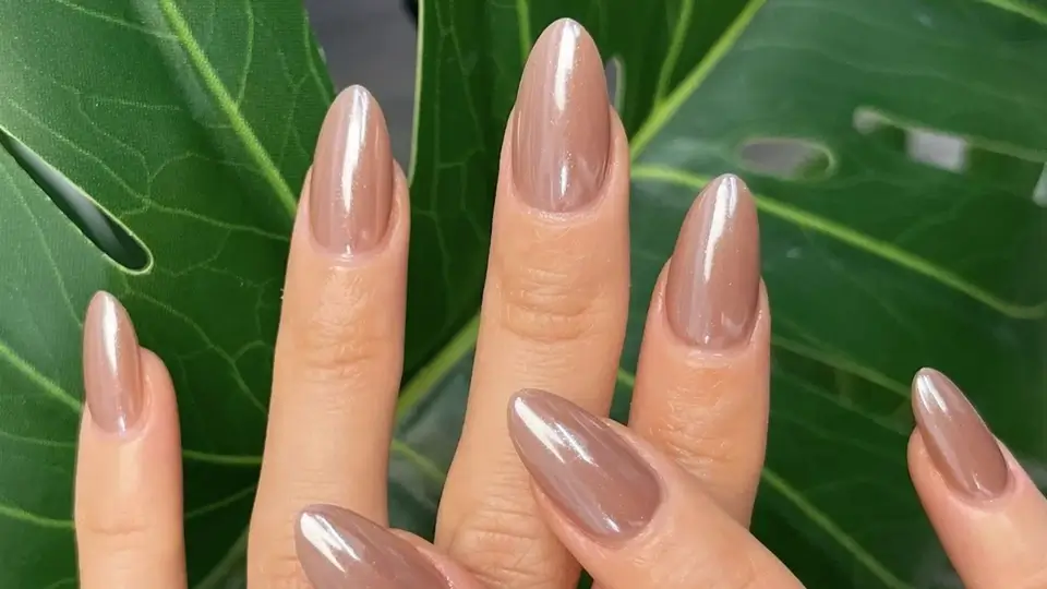 Chocolate Glazed Donut