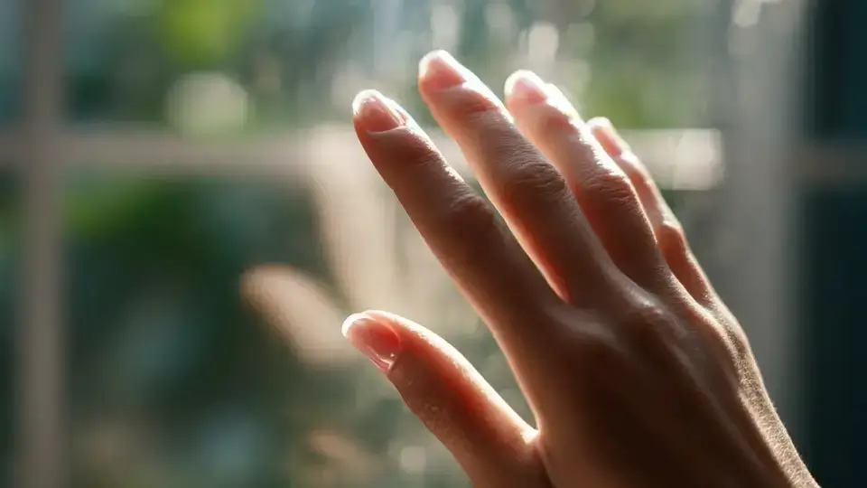 Clear Edge French