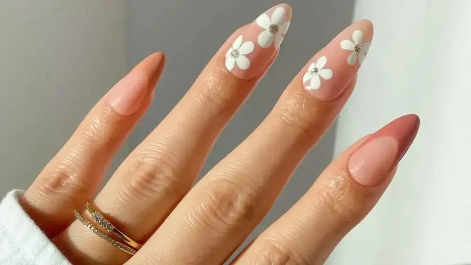 Dressed Up Tips