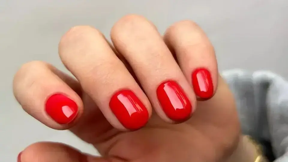 Tomato Red